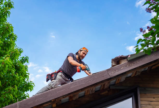 Best Skylight Installation and Repair  in Pinole, CA